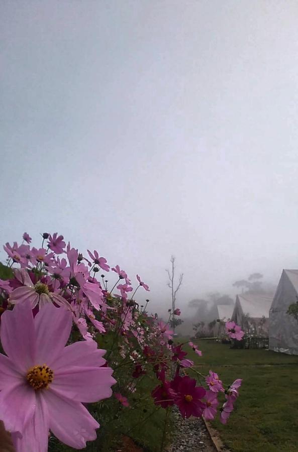 Lys I Dalen Resort&Camping Khao Kho Εξωτερικό φωτογραφία